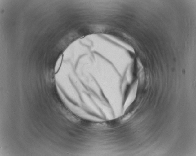 X0000060740525200512081921