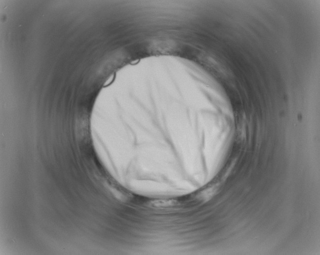 X0000060740526200512081921