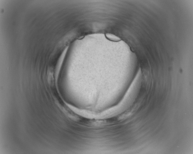 X0000060740527200512081921