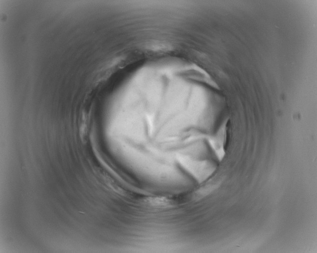 X0000060740528200512081921