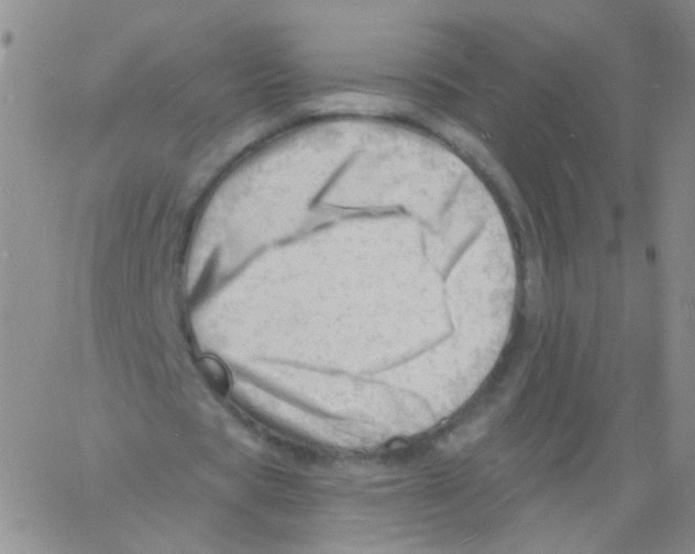 X0000060740529200512081920