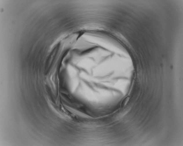 X0000060740530200512081920