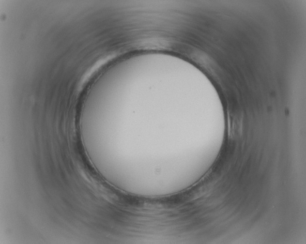 X0000060740531200512081920