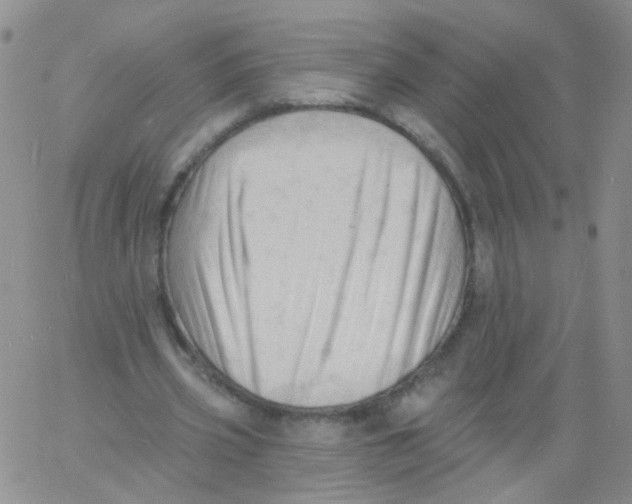 X0000060740533200512081920