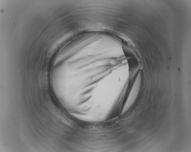 X0000060740535200512081920