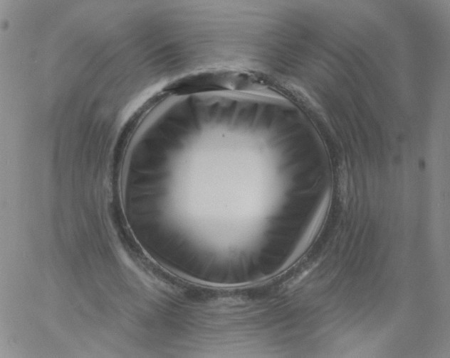 X0000060740536200512081920