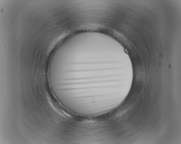 X0000060740538200512081920