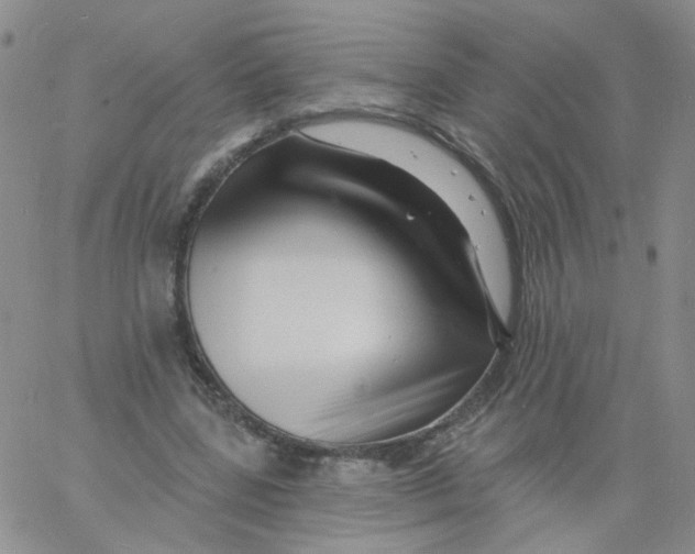 X0000060740539200512081920