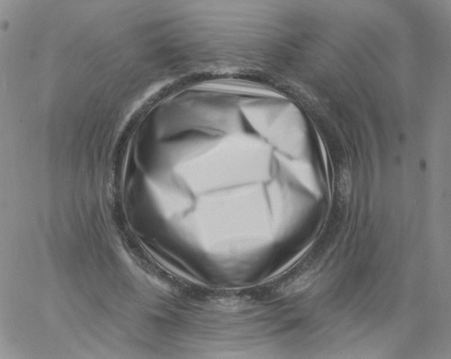 X0000060740540200512081920