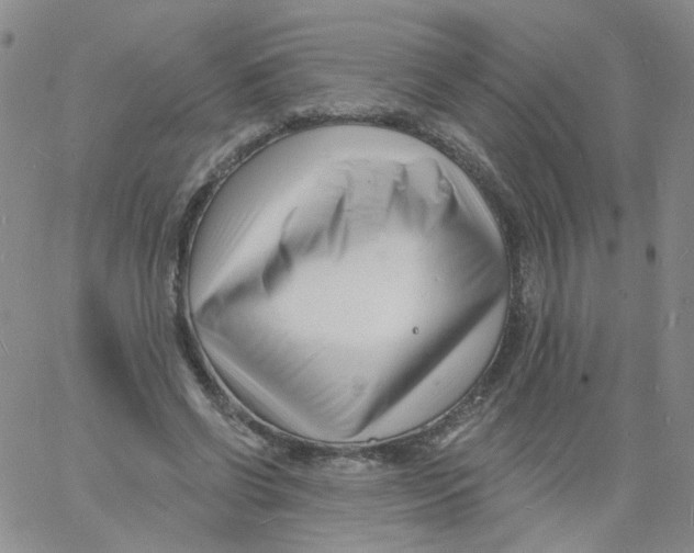 X0000060740542200512081920