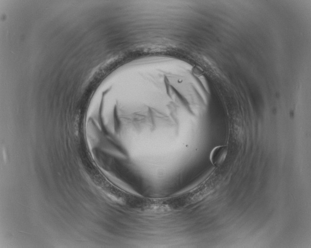 X0000060740543200512081920