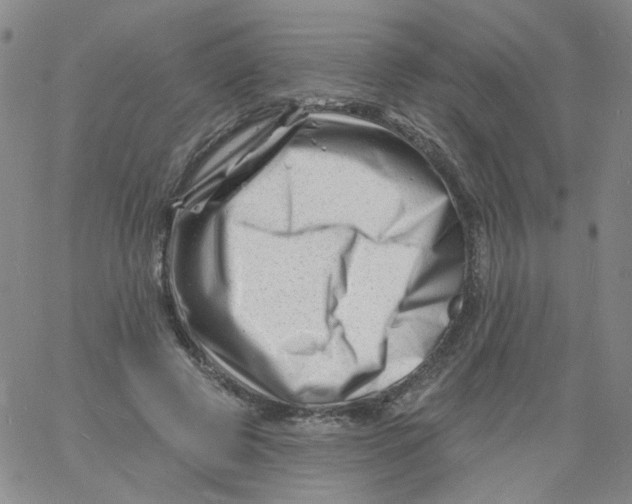 X0000060740545200512081920