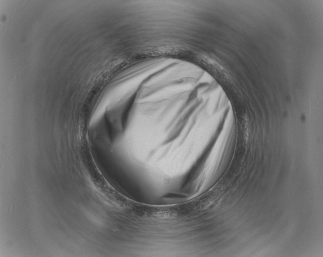 X0000060740546200512081920