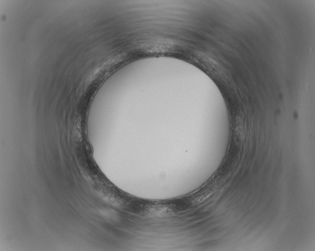 X0000060740547200512081920