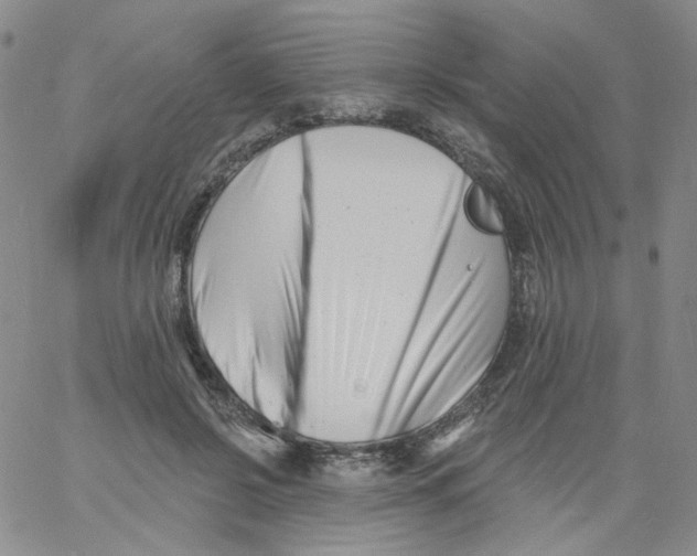 X0000060740550200512081920