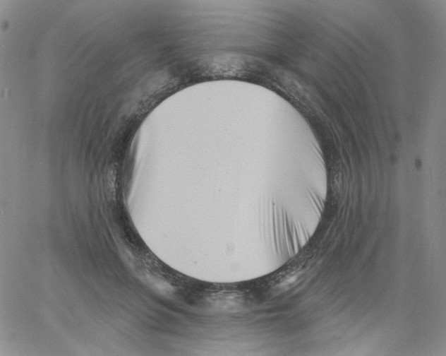 X0000060740551200512081920