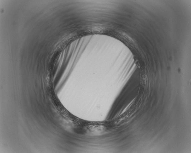 X0000060740552200512081920