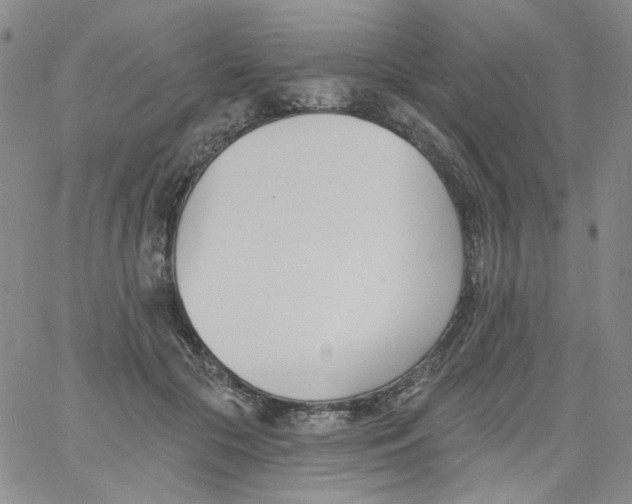 X0000060740553200512081920