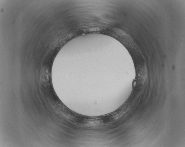 X0000060740555200512081920