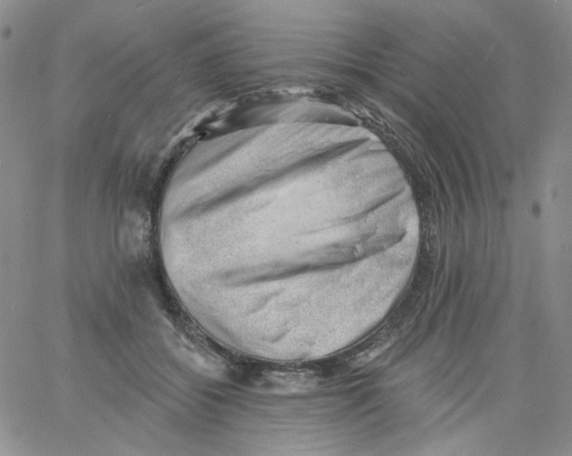 X0000060740556200512081920