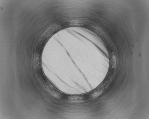 X0000060740557200512081920