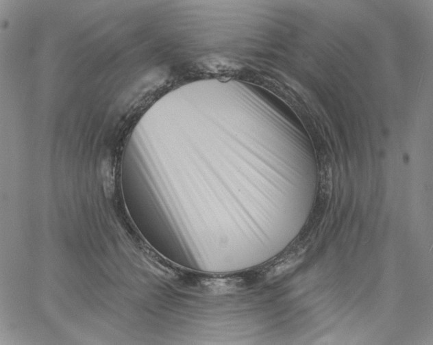 X0000060740558200512081920