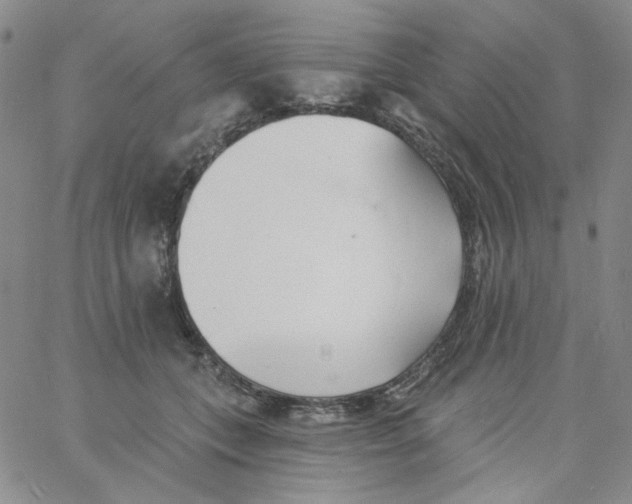 X0000060740559200512081920