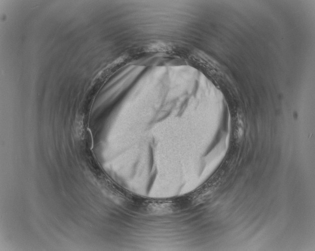 X0000060740560200512081920