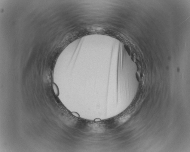 X0000060740561200512081920