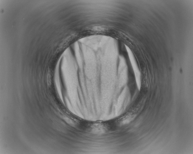 X0000060740562200512081920