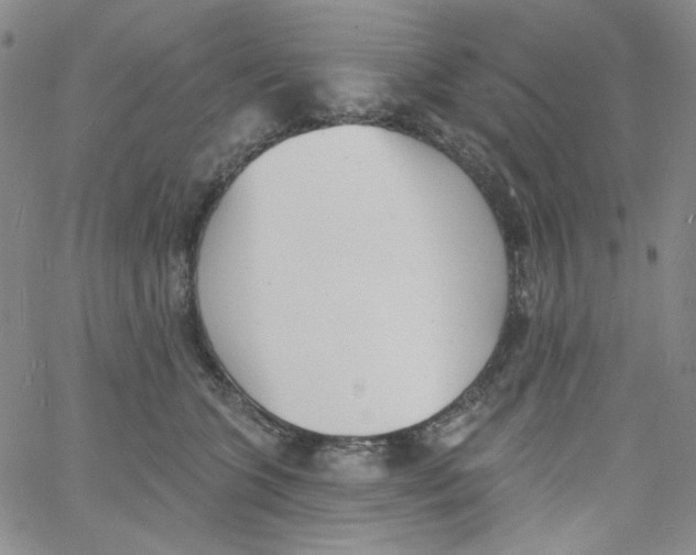 X0000060740563200512081920