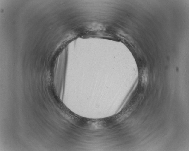 X0000060740564200512081920