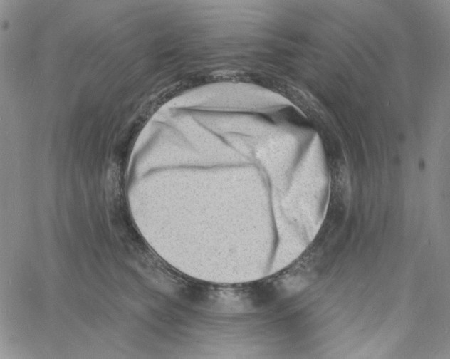 X0000060740565200512081920