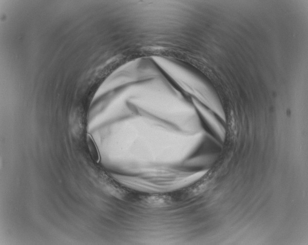 X0000060740566200512081920