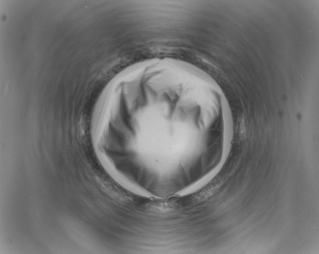 X0000060740567200512081920