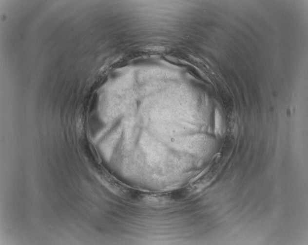 X0000060740568200512081921