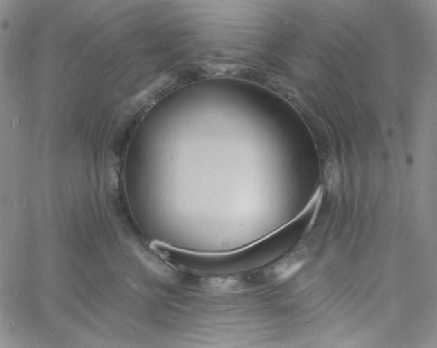 X0000060740570200512081921