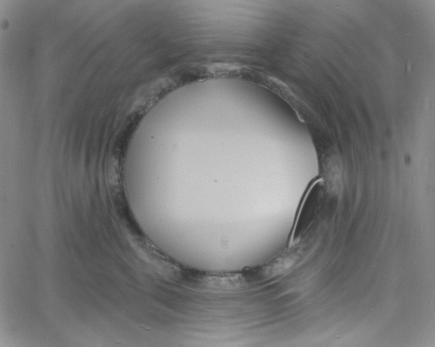 X0000060740571200512081921