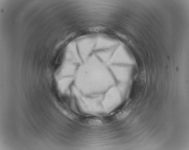 X0000060740572200512081921