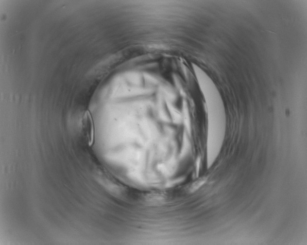 X0000060740574200512081921