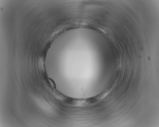 X0000060740575200512081921