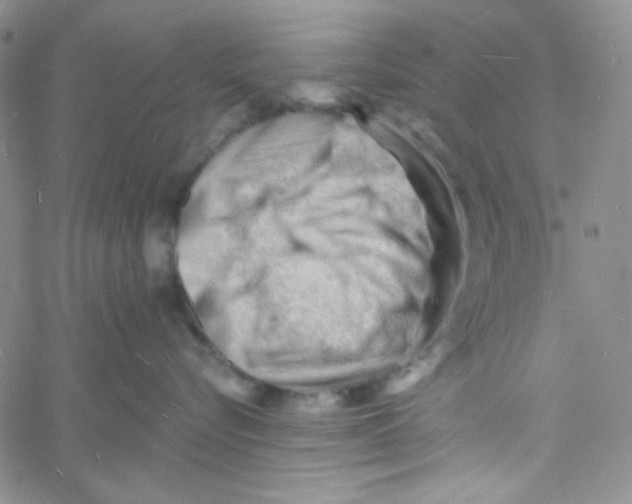 X0000060740576200512081921