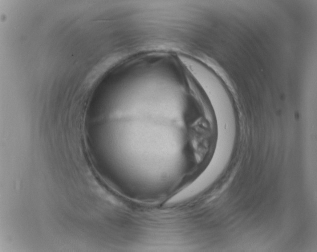 X0000060740577200512081920