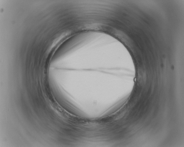 X0000060740578200512081920