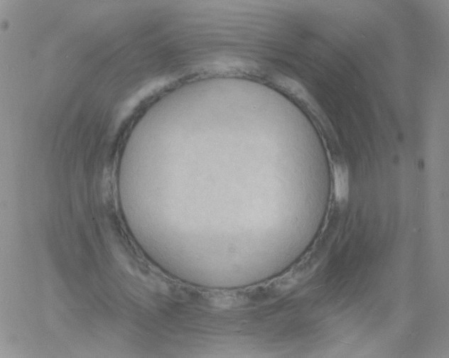 X0000060740579200512081920