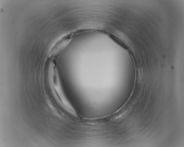 X0000060740580200512081920