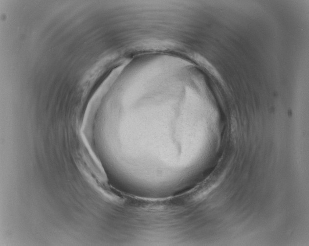 X0000060740581200512081920