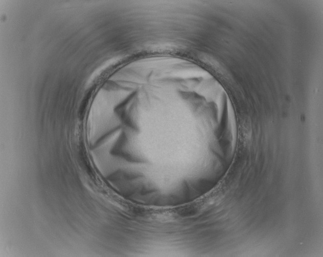 X0000060740583200512081920