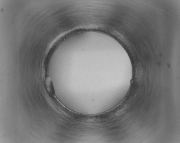 X0000060740584200512081920