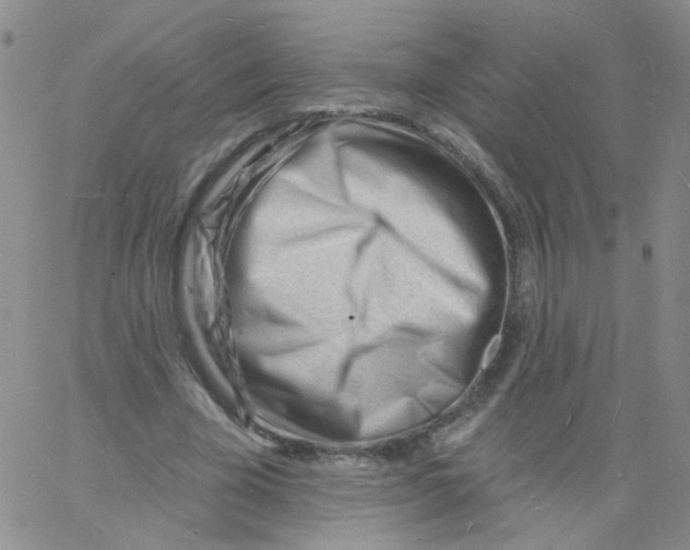 X0000060740585200512081920